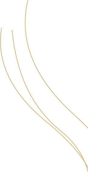 BarMenuPage-Shape_1-gold