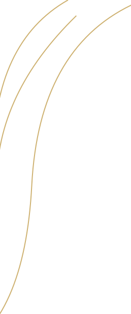 Kitchen-CTA-Shape-gold