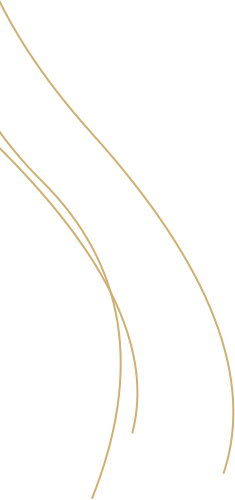 KitchenMenuPage-DeliverySection-Shape-gold